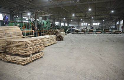 сушильный комплекс для дров итальянской компании Incoplan.jpg