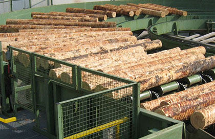 В Кузбассе наладят глубокую переработку древесины.jpg