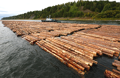 Один из лидеров среди отечественных деревообрабатывающих предприятий, «Новоенисейский ЛХК» планирует до конца 2019 года подписать договор и закупить дополнительное лесопильное оборудование компании Linck.jpg